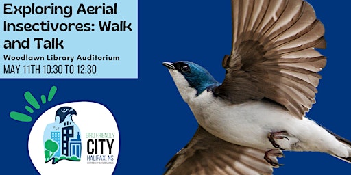 Imagem principal do evento Exploring Aerial Insectivores: Walk and Talk