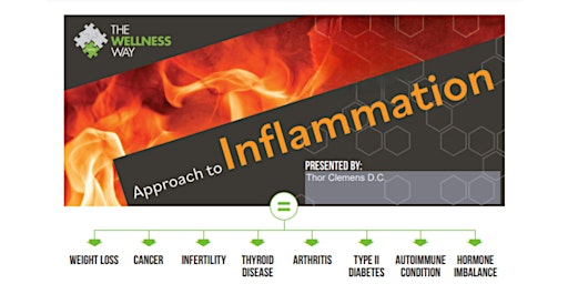 Image principale de Approach to Inflammation