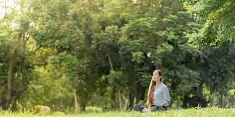 Free Gentle Stretching & Meditation in Nature