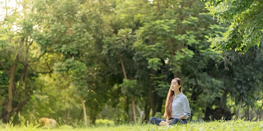Free Gentle Stretching & Meditation in Nature primary image