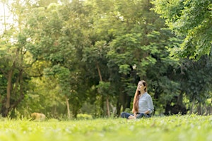 Free Gentle Stretching & Meditation in nature primary image