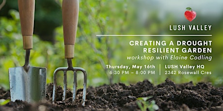 Creating a Drought-Resilient Garden: Workshop with Elaine Codling