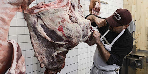 Beef Forequarter Butchery primary image