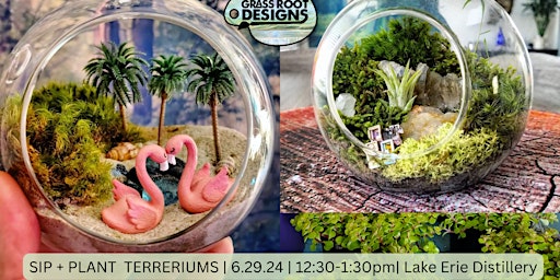 Primaire afbeelding van Terrarium Globe Sip + Plant | Lake Erie Distillery