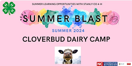 Cloverbud Dairy Camp