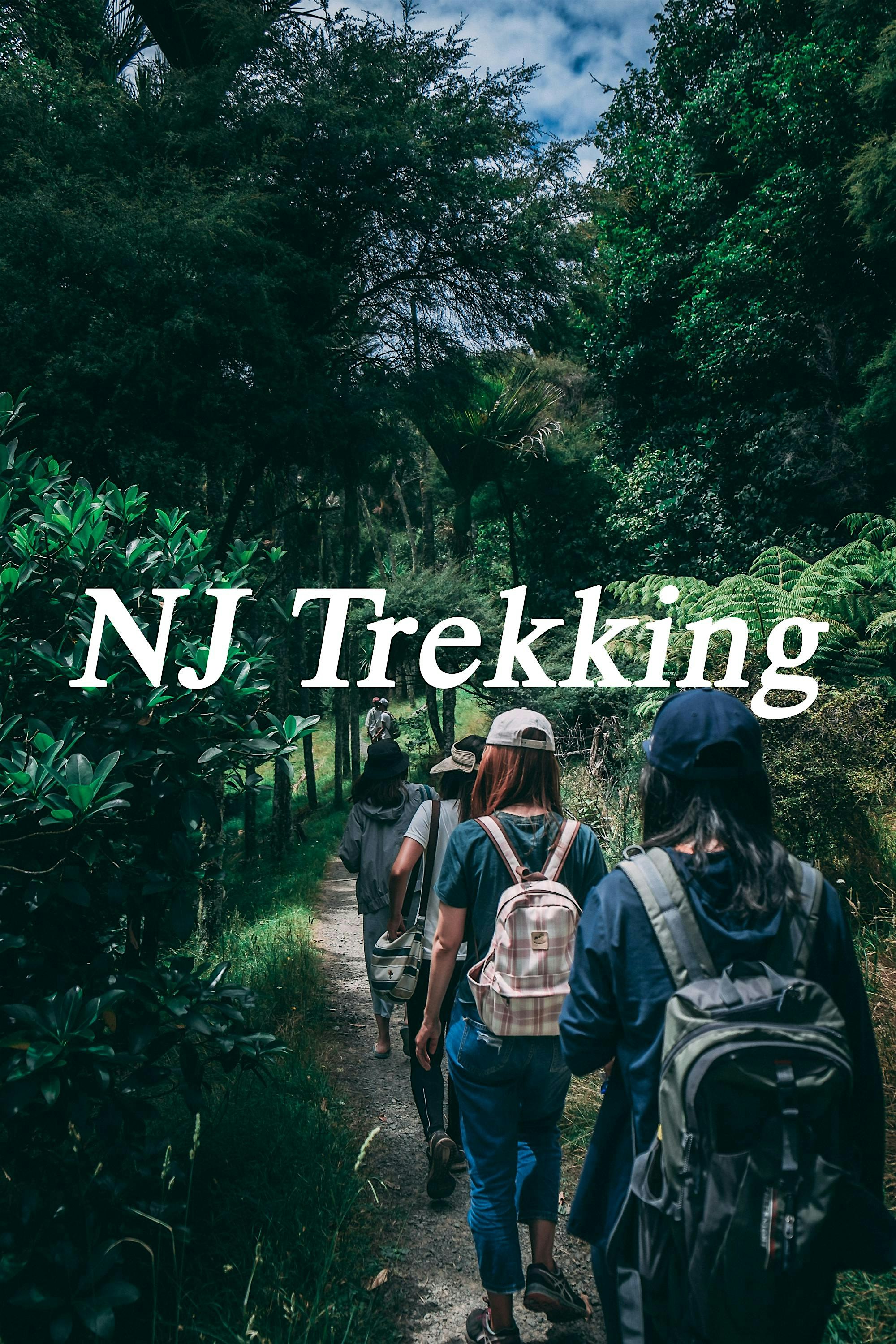 NJ Trekking & Painting |The Texture of Trees, Another Kind of Earth