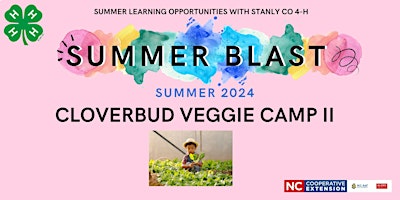 Cloverbud Veggie Camp II  primärbild