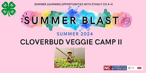 Hauptbild für Cloverbud Veggie Camp II