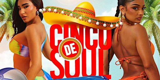 Hauptbild für Cinco de Soul Pool Party at Lux Beach Club