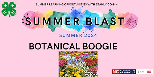 Hauptbild für Botanical Boogie