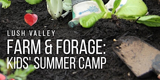 Primaire afbeelding van Farm & Forage Summer Camp