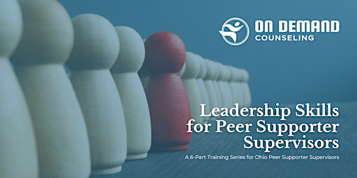 Primaire afbeelding van Leadership Skills for Peer Support Supervisors (IN PERSON)