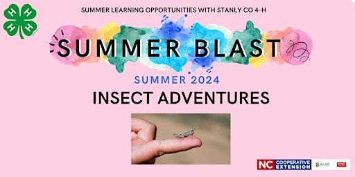 Imagem principal do evento Insect Adventures