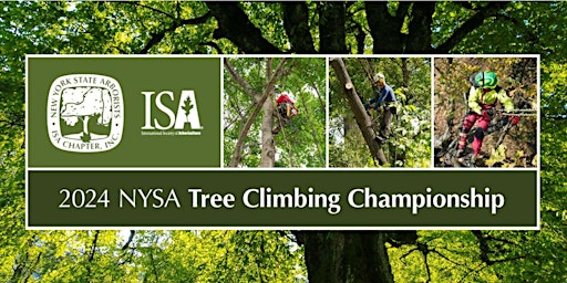 Primaire afbeelding van Tree Climbing Championship