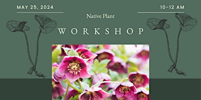 Imagem principal de Native Plant Workshop