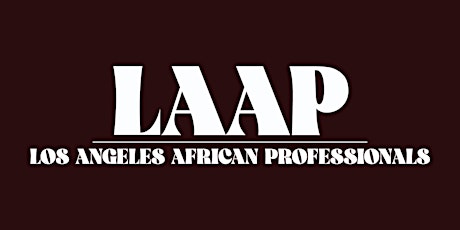 Los Angeles  African Professionals Mixer