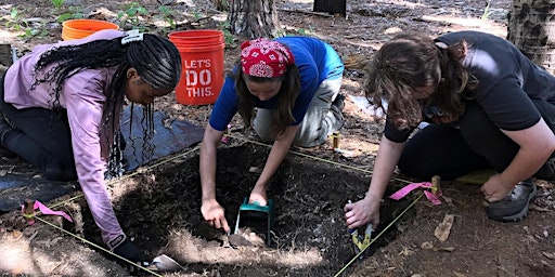 Dig Ossabaw Island:  Hands On Archaeological Day Trip primary image