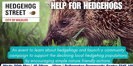 HELP FOR HEDGEHOGS - CULLOMPTON
