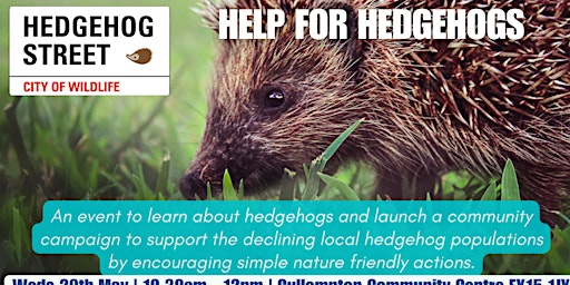 HELP FOR HEDGEHOGS - CULLOMPTON primary image