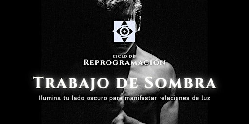 Primaire afbeelding van Reprogramación | La sombra sexual Gay