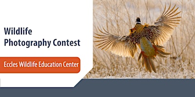 Eccles Wildlife Education Center — 2nd Annual Wildlife Photography Contest  primärbild