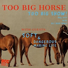 Too Big Horse Presents: Too Big Show