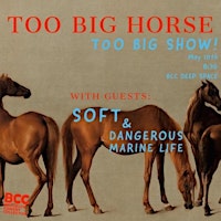 Too Big Horse Presents: Too Big Show primary image