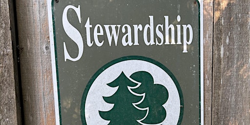 Image principale de Whidbey Forest Stewardship Coached Planning Fall 2024