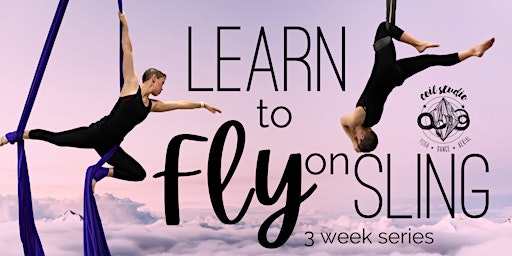 Imagem principal de Learn to Fly on Sling