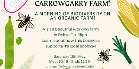 Biodiversity walk at Carrowgarry Farm - an organic farm in Beltra Co. Sligo!