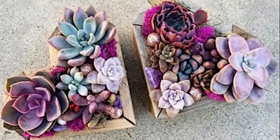 Immagine principale di Grow Your Heart with Confidence  -- Succulent Planter Workshop Party 