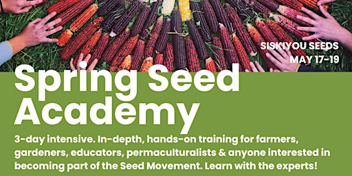 Spring Seed Academy primary image