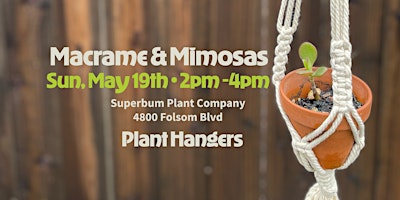 Immagine principale di Macrame & Mimosas - May - Plant Hangers 