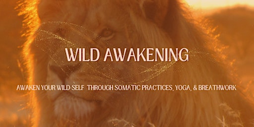 FREE Wild Awakening Promo Class primary image
