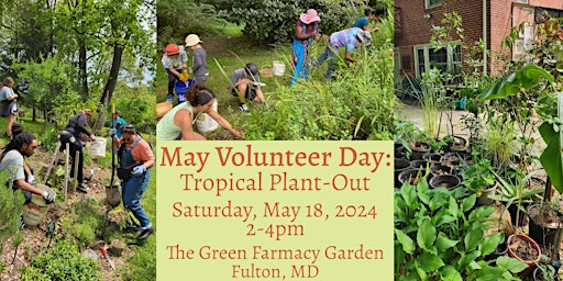 Primaire afbeelding van May Volunteer Day: Tropical Plant-Out