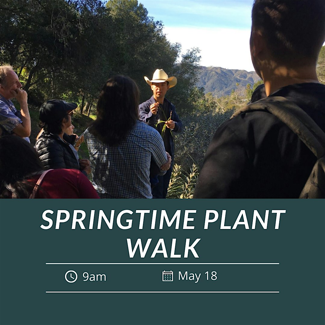 Springtime Plant Walk