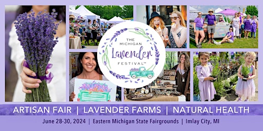 Primaire afbeelding van The Michigan Lavender Festival 2024