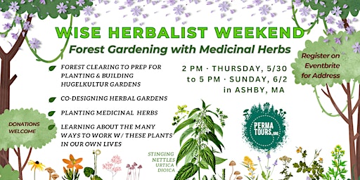 Wise Herbalist Forest Gardening with Medicinal Herbs primary image