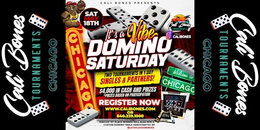 IT'S A VIBE"CHICAGO" DOMINO TOURNAMENT MAY 18, 2024 primary image