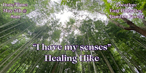 Imagen principal de "I have my senses" Healing Hike