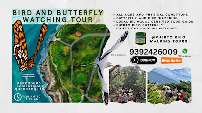 Bird  and Butterfly Watching Tour