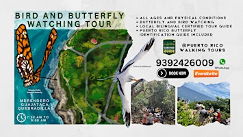 Bird  and Butterfly Watching Tour primary image