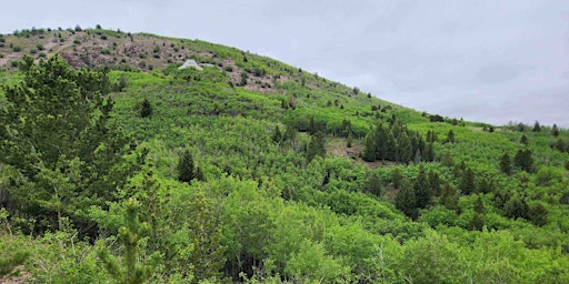 Image principale de Hike or Trail Run Anaconda's "A" Hill