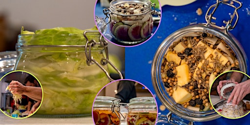 Atelier Fermentation & Environnement : choucroute et légumes en saumure  primärbild