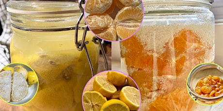 Atelier | Fermentation des fruits 101 : Citrons confits & Koso