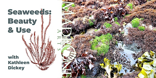 Imagem principal de Seaweeds: Beauty and Use with Kathleen Dickey