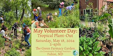 May Volunteer Day: Tropical Plant-Out