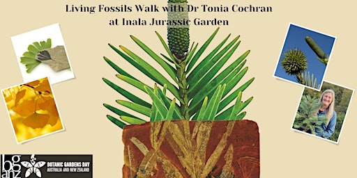 Imagem principal do evento Living Fossils walk at Inala Jurassic Garden