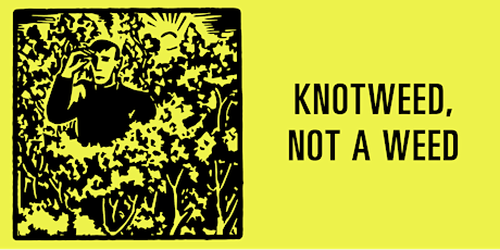 SUNDAY SCHOOL: Knotweed, Not A Weed primary image