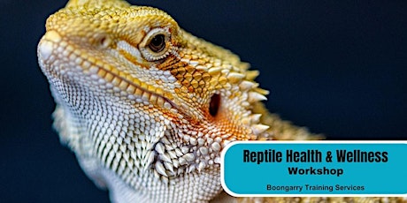 Reptile Health & Wellness